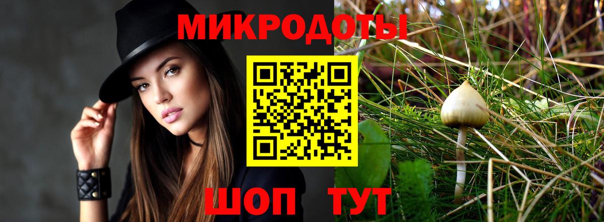 Галлюциногенные грибы Psilocybe  Вход с VPN  Рязань 